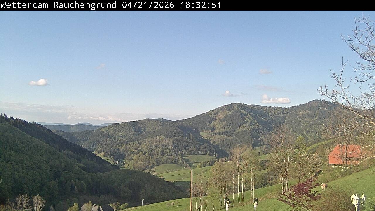 Archiv Foto Webcam Elzach