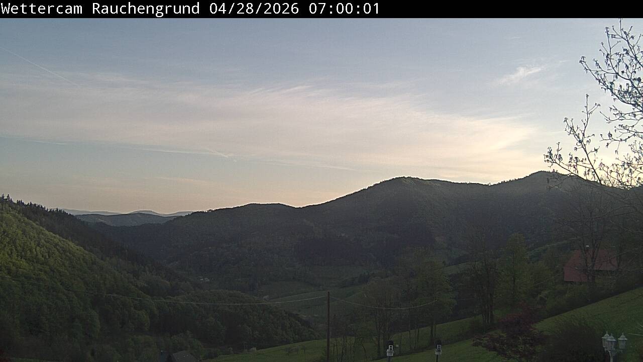 Archiv Foto Webcam Elzach
