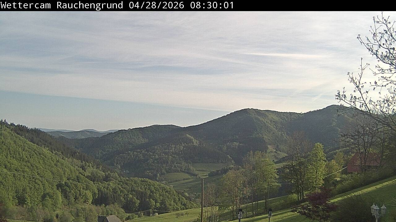 Archiv Foto Webcam Elzach