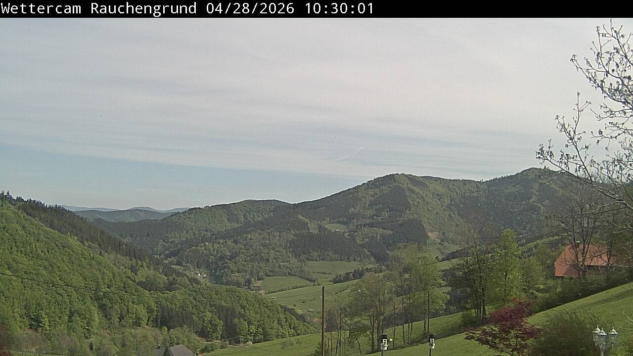 Archiv Foto Webcam Elzach