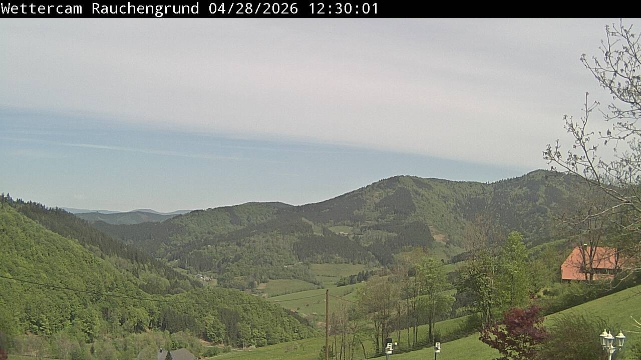 Archiv Foto Webcam Elzach
