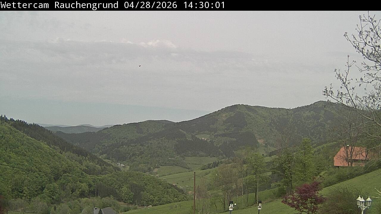 Archiv Foto Webcam Elzach