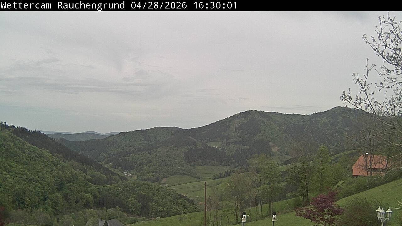 Archiv Foto Webcam Elzach