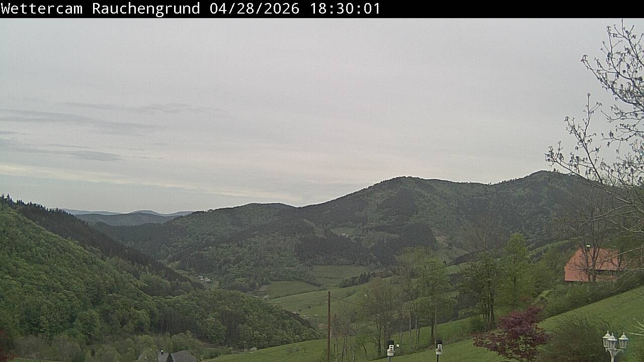 Archiv Foto Webcam Elzach