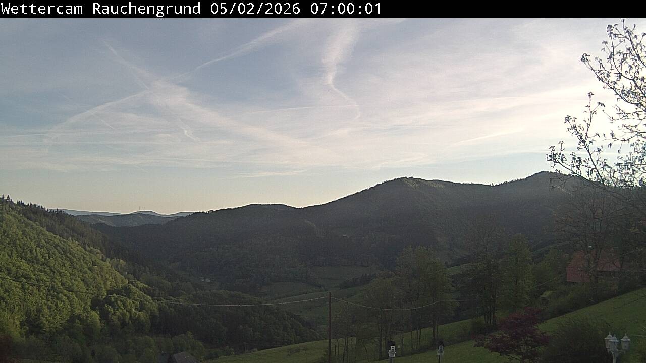 Archiv Foto Webcam Elzach