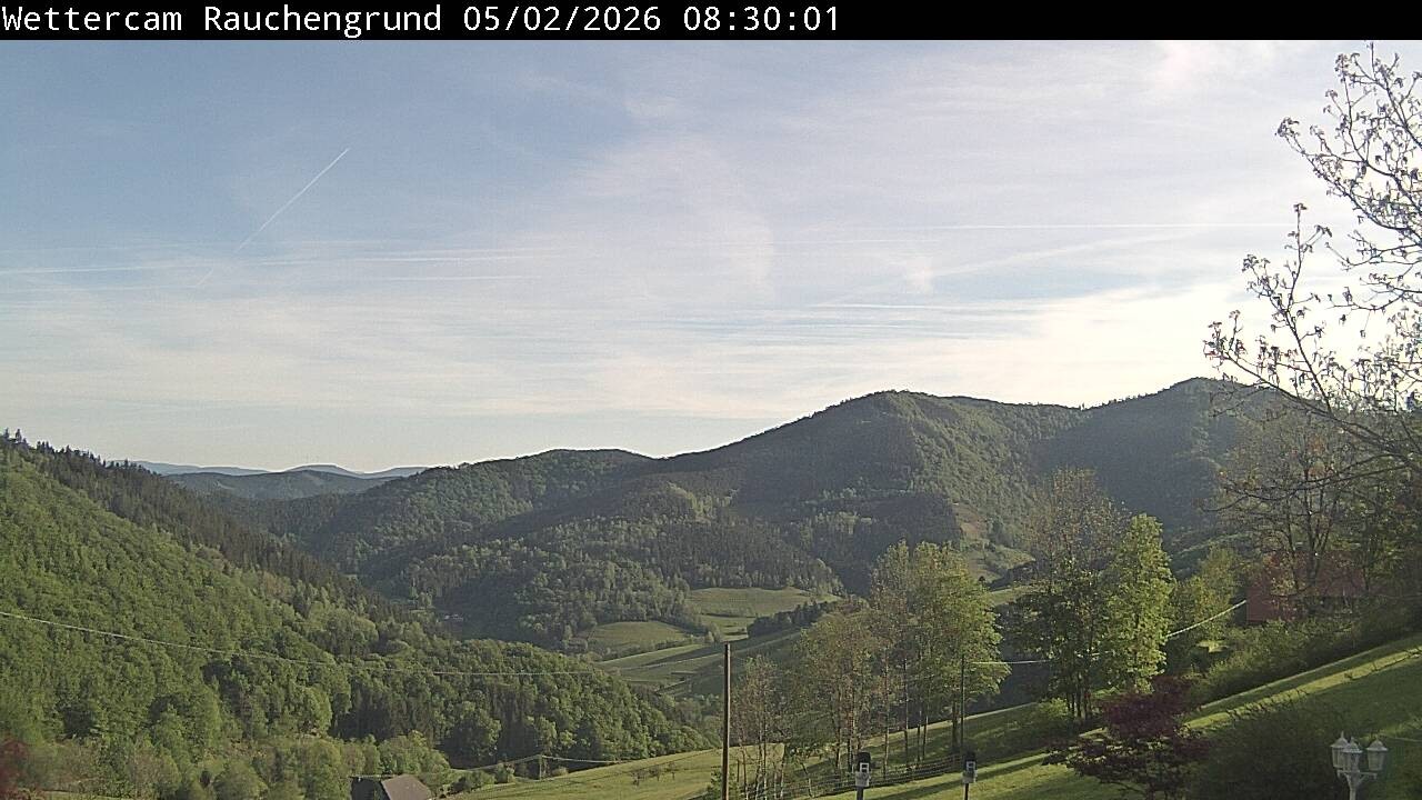 Archiv Foto Webcam Elzach