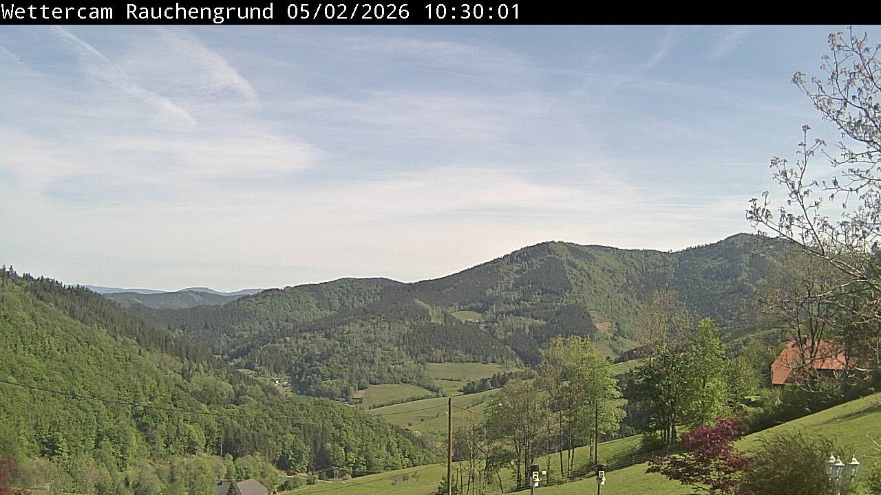 Archived image Webcam "Rauchengrund"