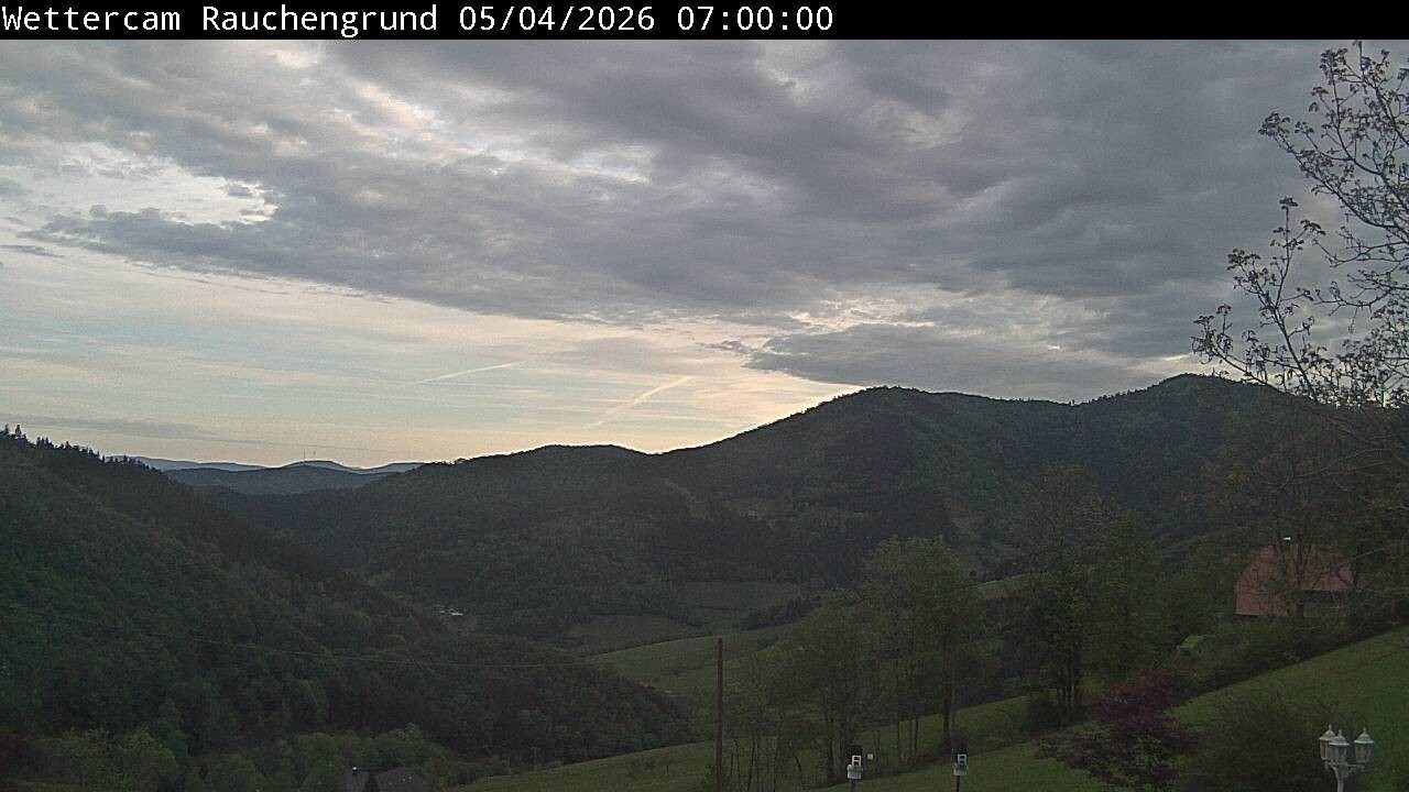 Archiv Foto Webcam Elzach