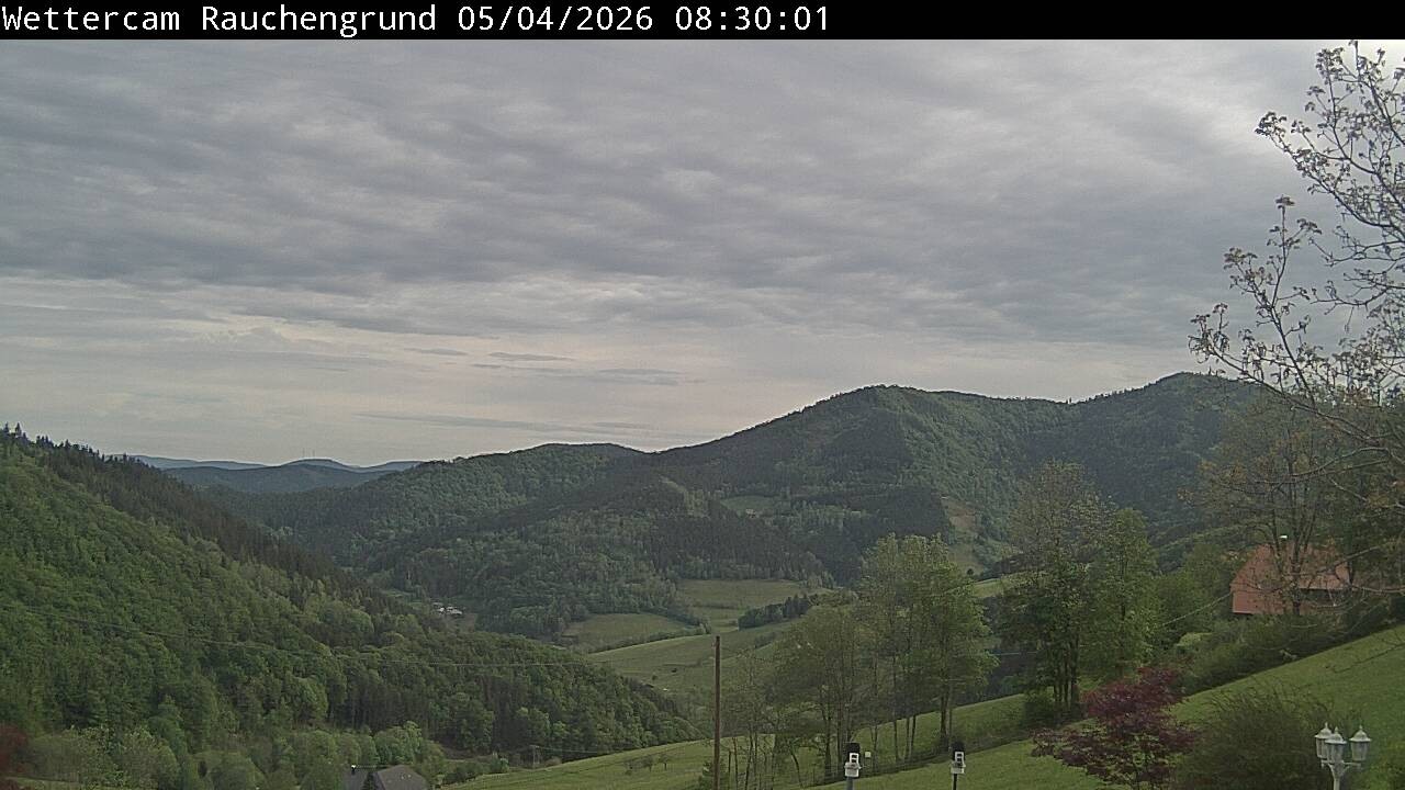 Archiv Foto Webcam Elzach