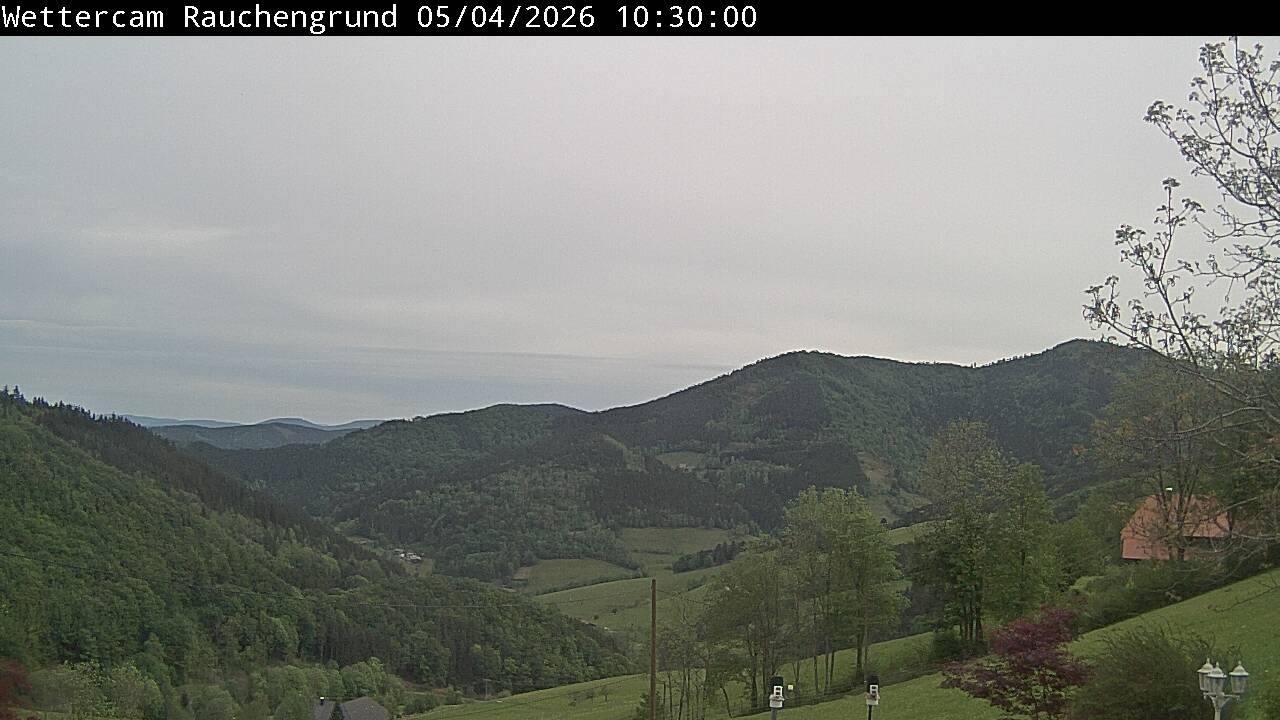 Archiv Foto Webcam Elzach
