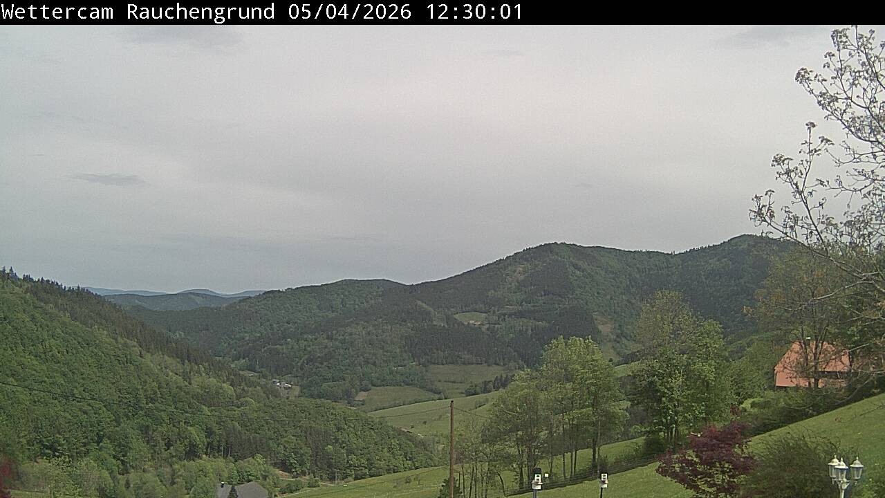 Archiv Foto Webcam Elzach