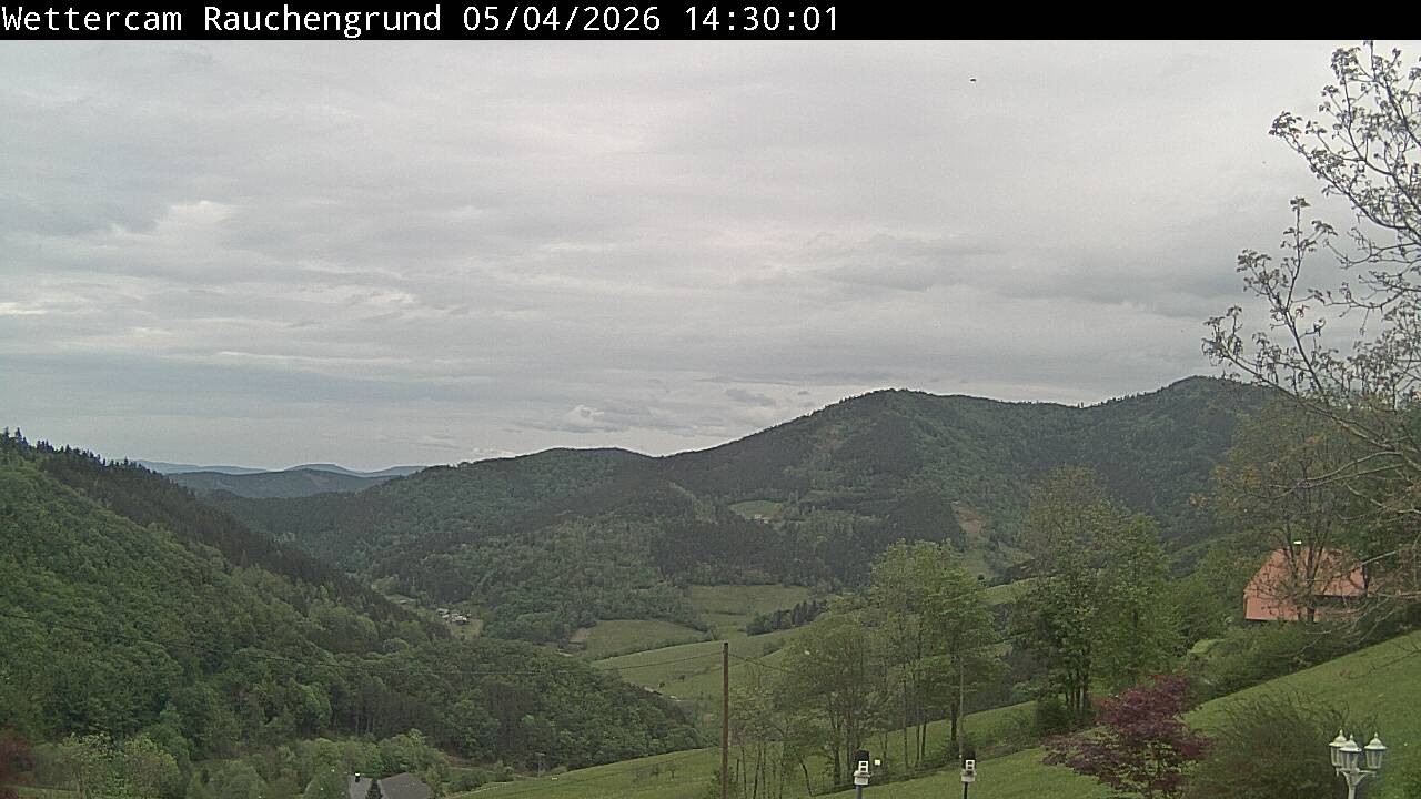 Archiv Foto Webcam Elzach
