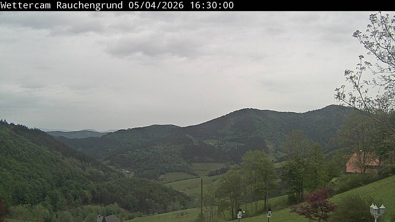 Archiv Foto Webcam Elzach