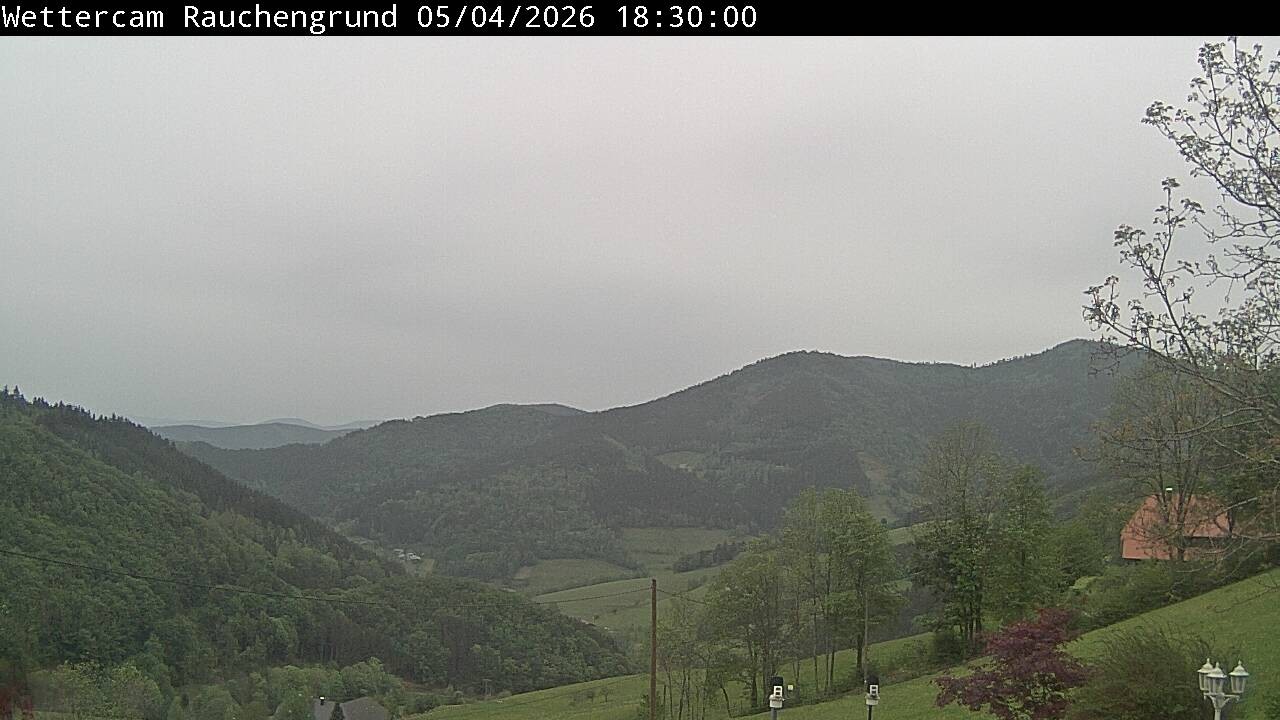 Archiv Foto Webcam Elzach