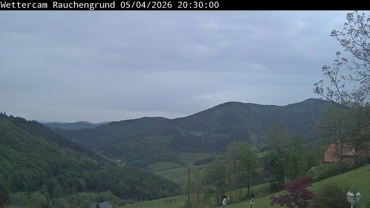 Archiv Foto Webcam Elzach