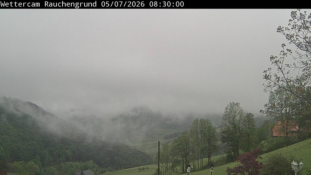 Archiv Foto Webcam Elzach