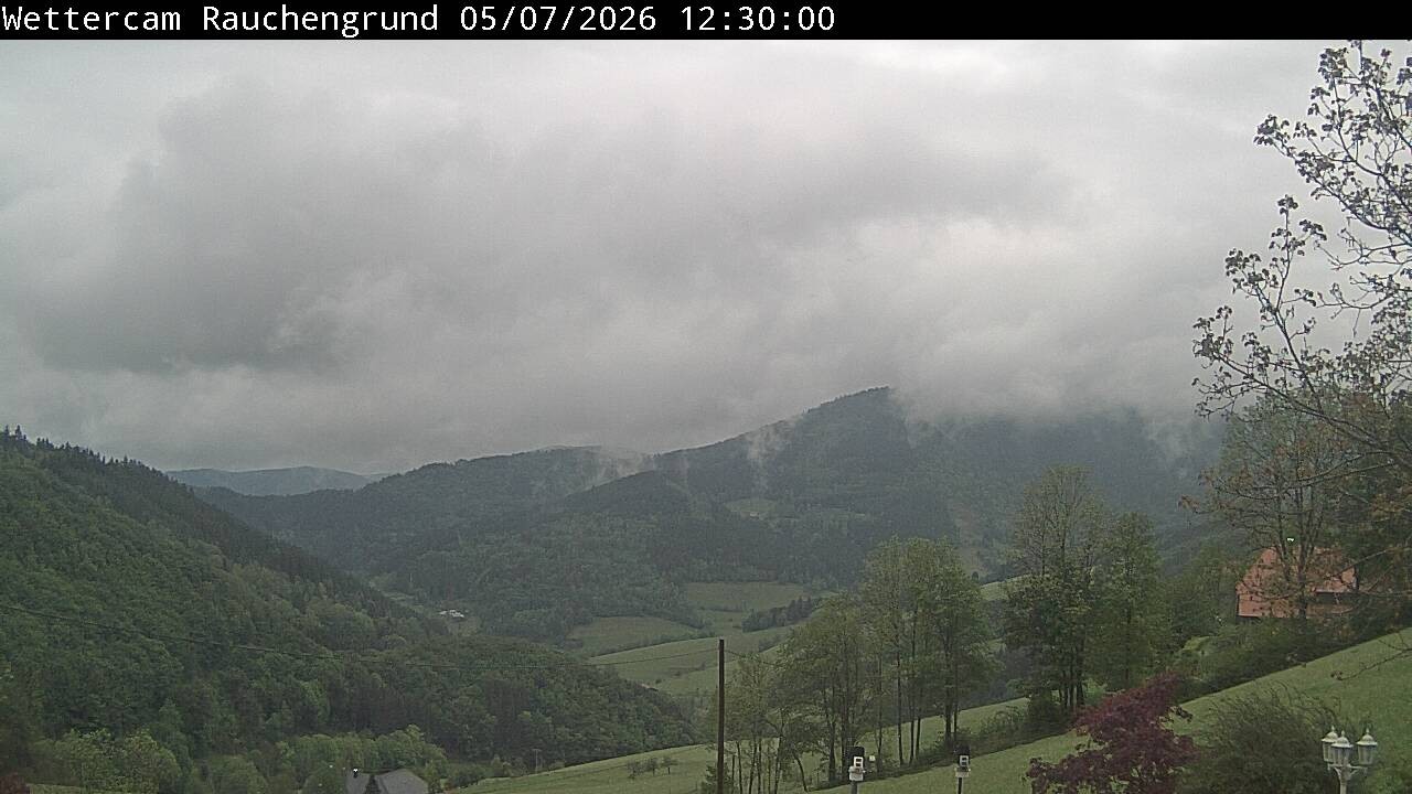 Archiv Foto Webcam Elzach