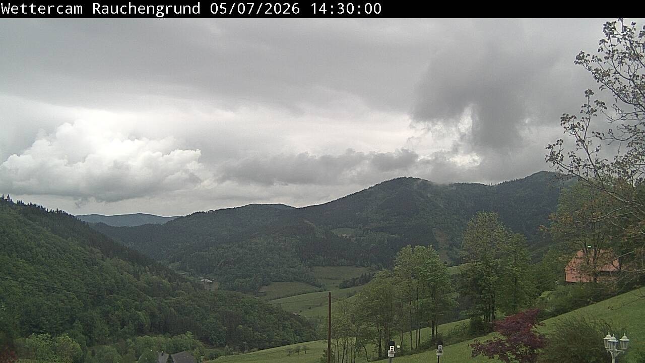 Archiv Foto Webcam Elzach