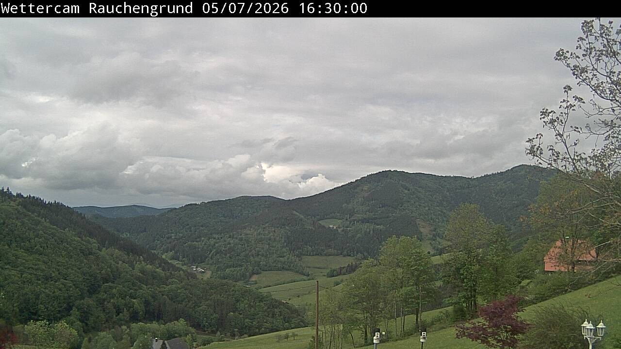 Archiv Foto Webcam Elzach