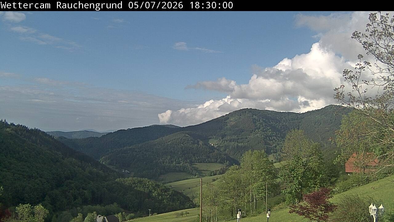Archiv Foto Webcam Elzach