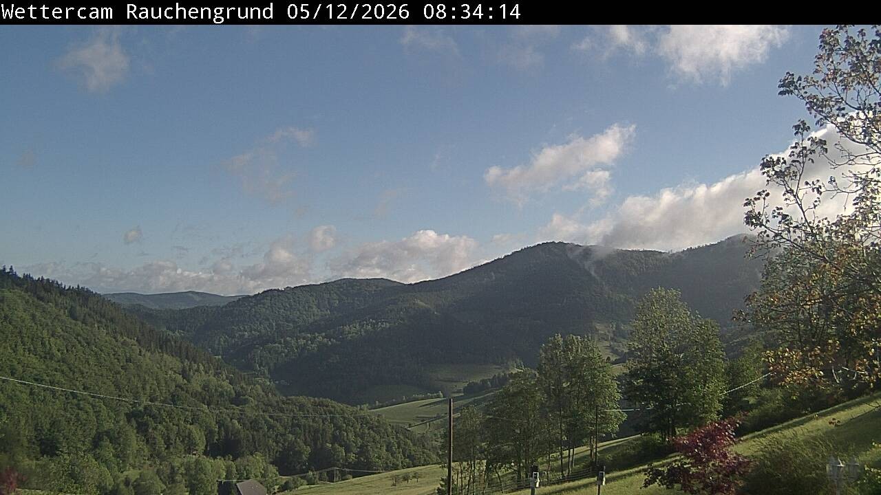 Archiv Foto Webcam Elzach