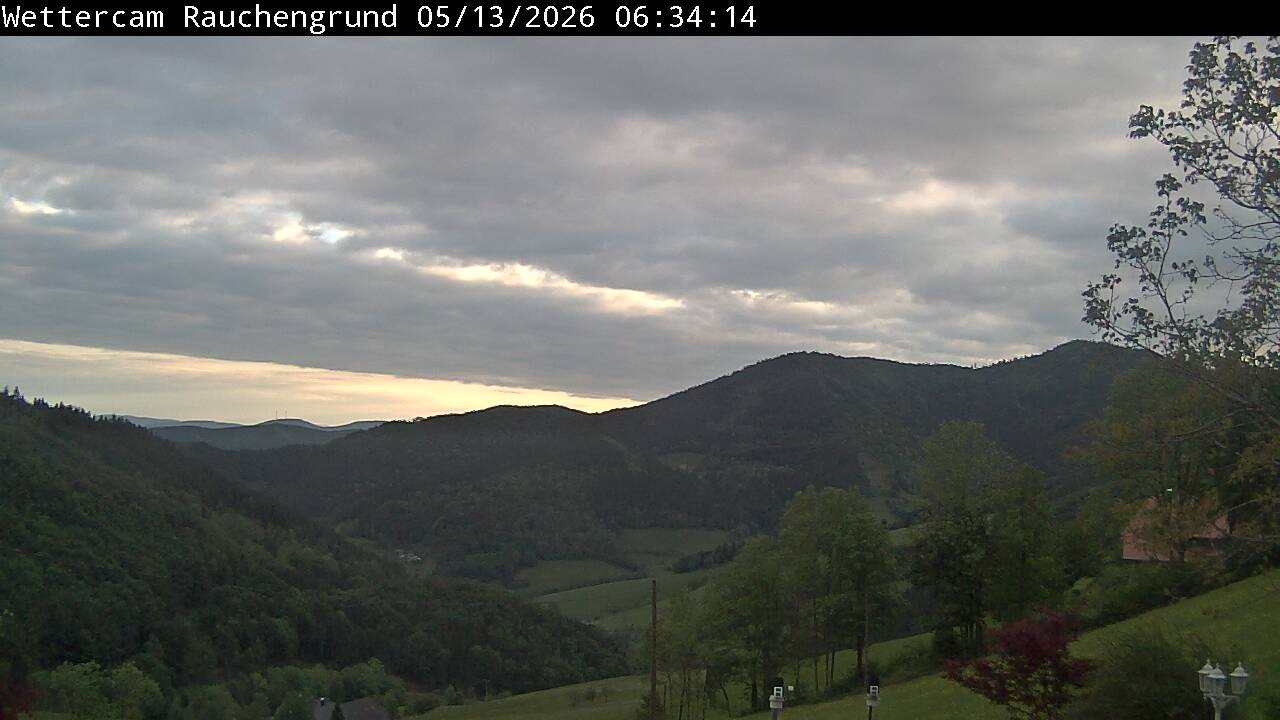 Archiv Foto Webcam Elzach