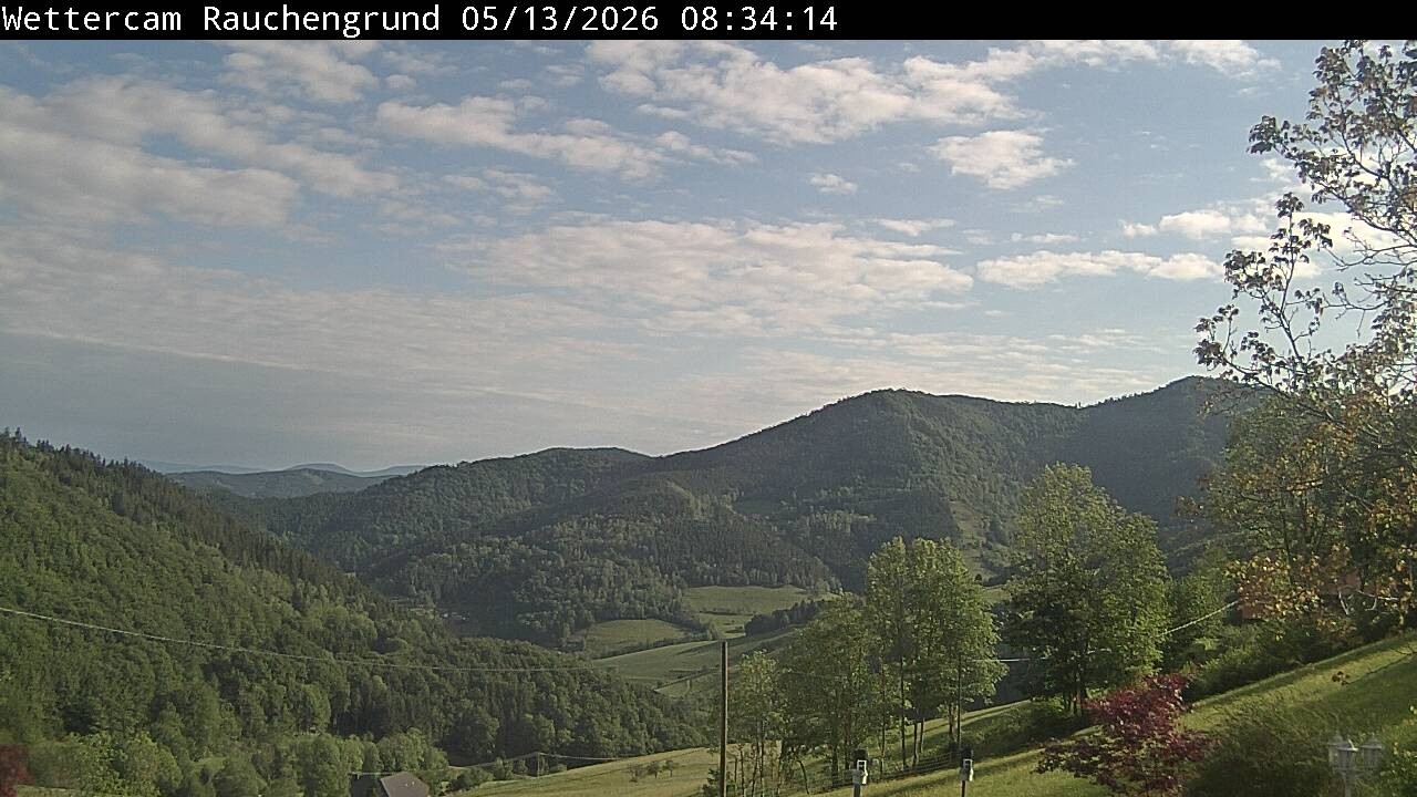 Archiv Foto Webcam Elzach