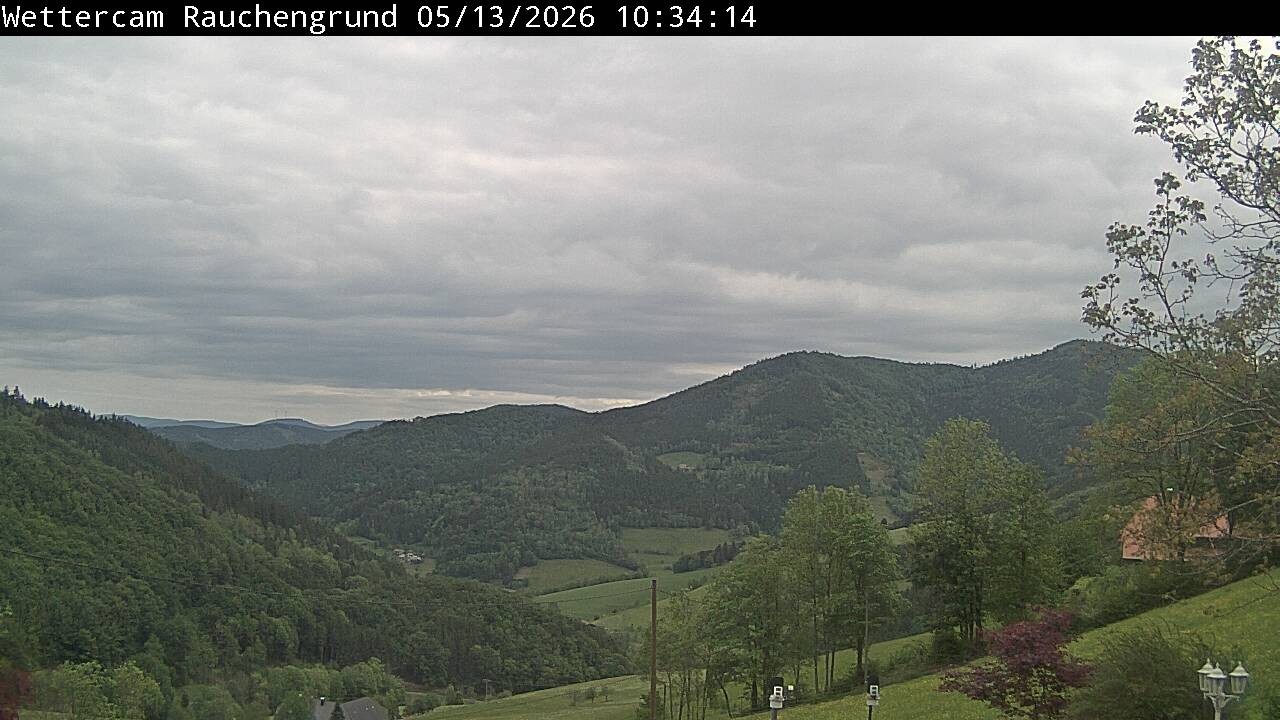 Archiv Foto Webcam Elzach