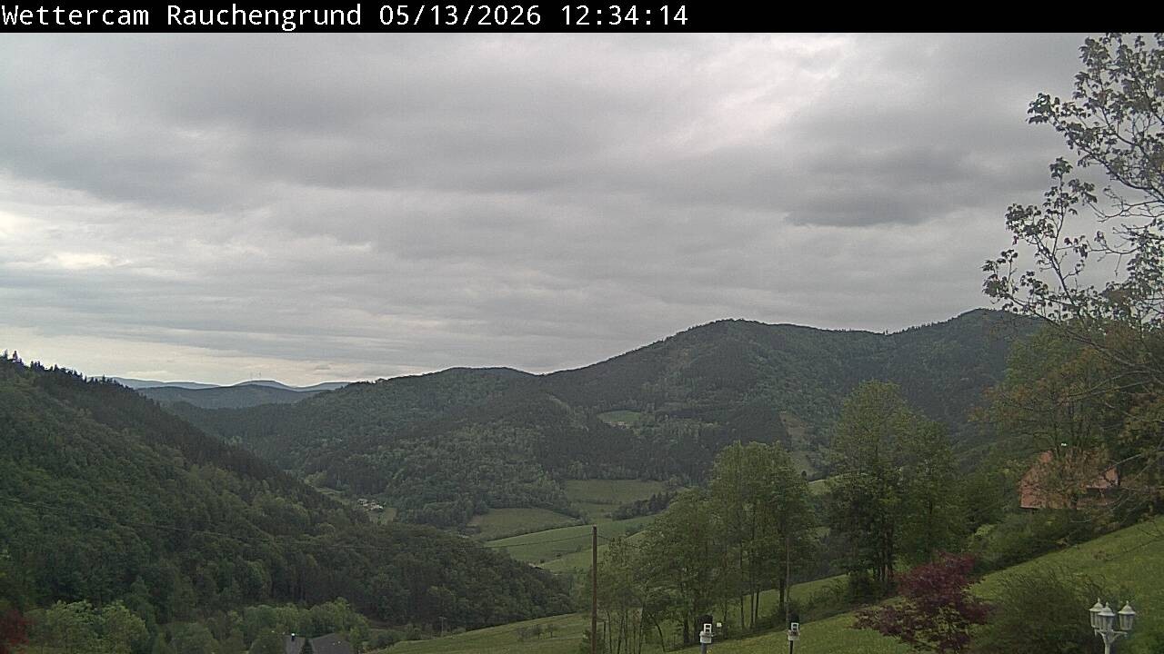 Archiv Foto Webcam Elzach