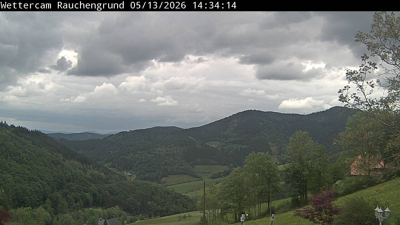 Archiv Foto Webcam Elzach