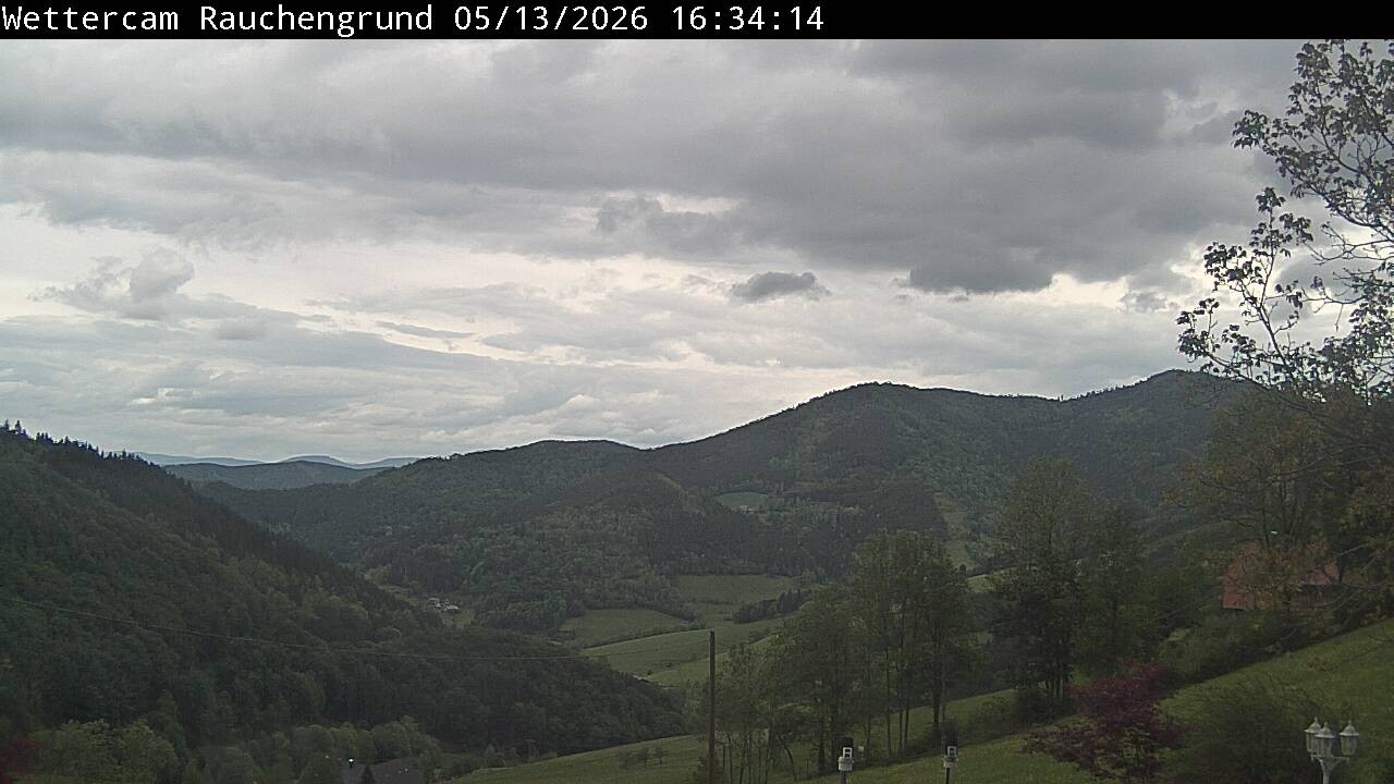Archiv Foto Webcam Elzach