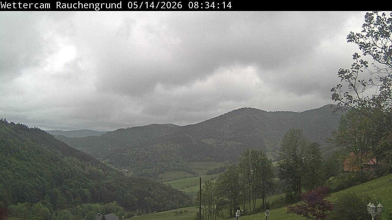 Archiv Foto Webcam Elzach