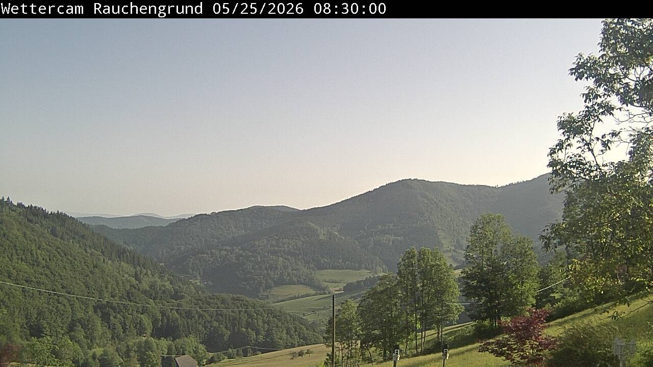 Archiv Foto Webcam Elzach