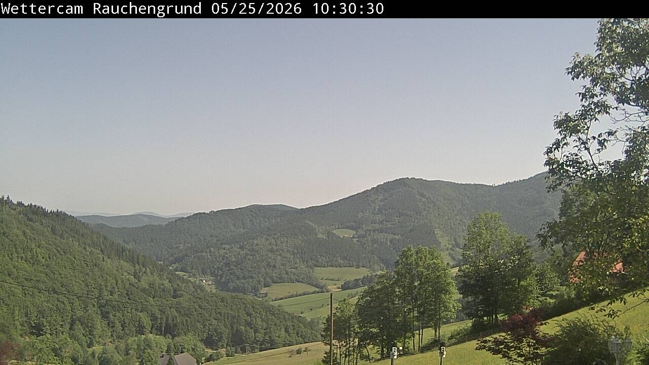 Archiv Foto Webcam Elzach