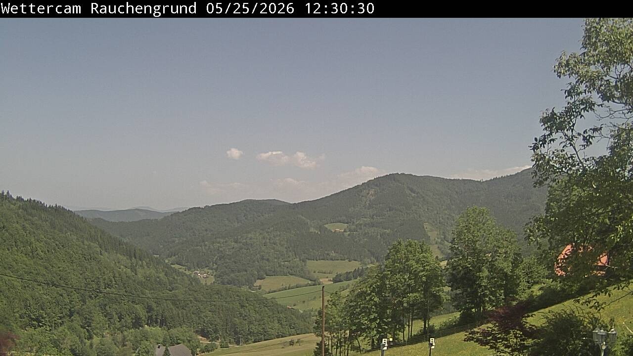 Archiv Foto Webcam Elzach