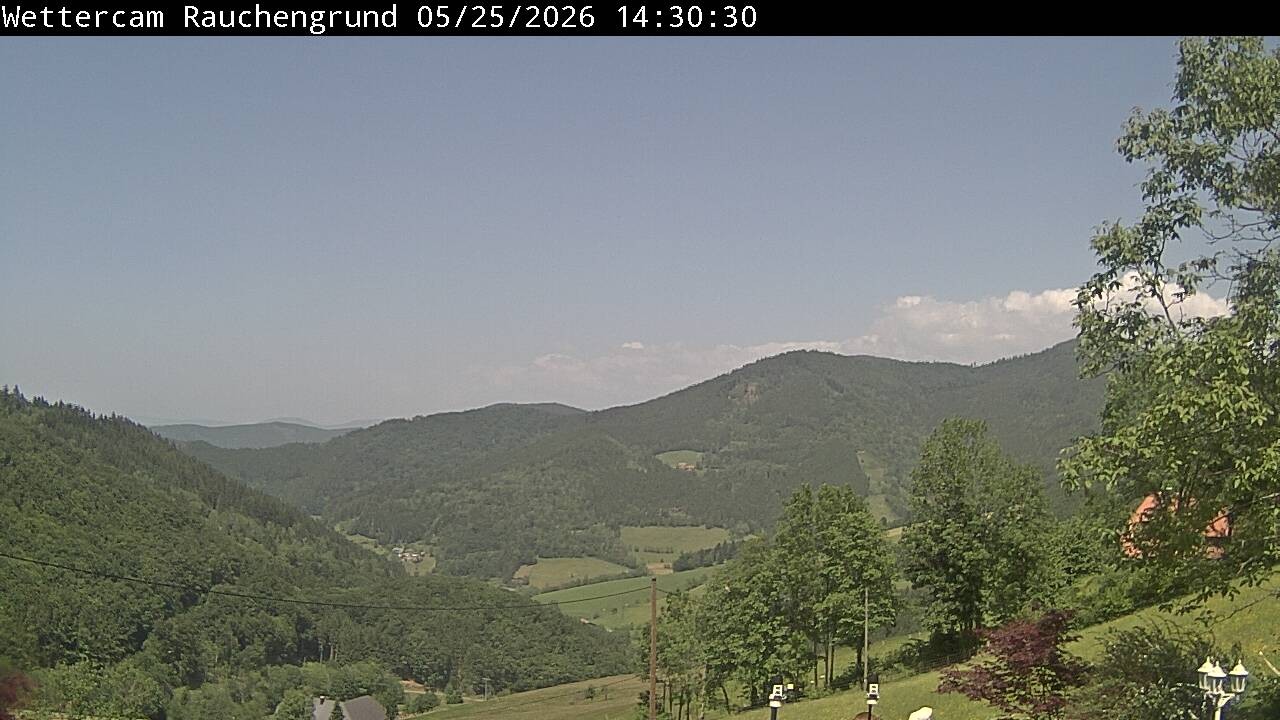 Archiv Foto Webcam Elzach