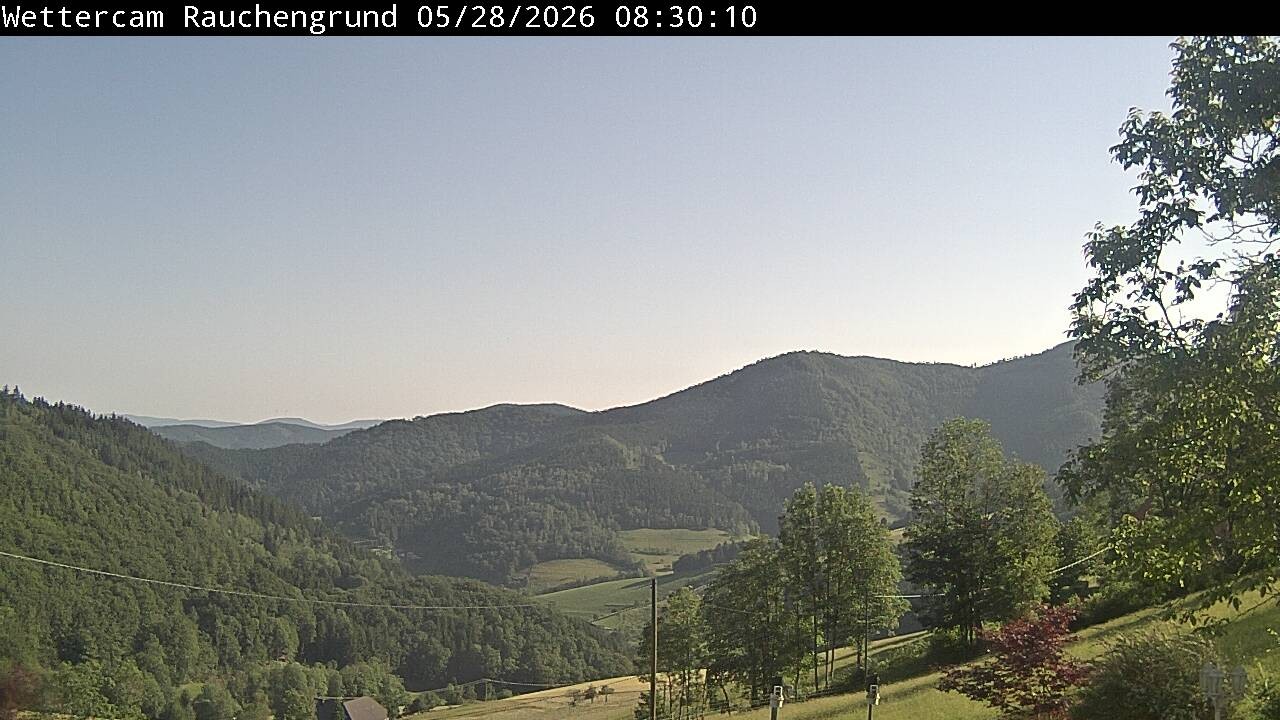 Archived image Webcam "Rauchengrund"