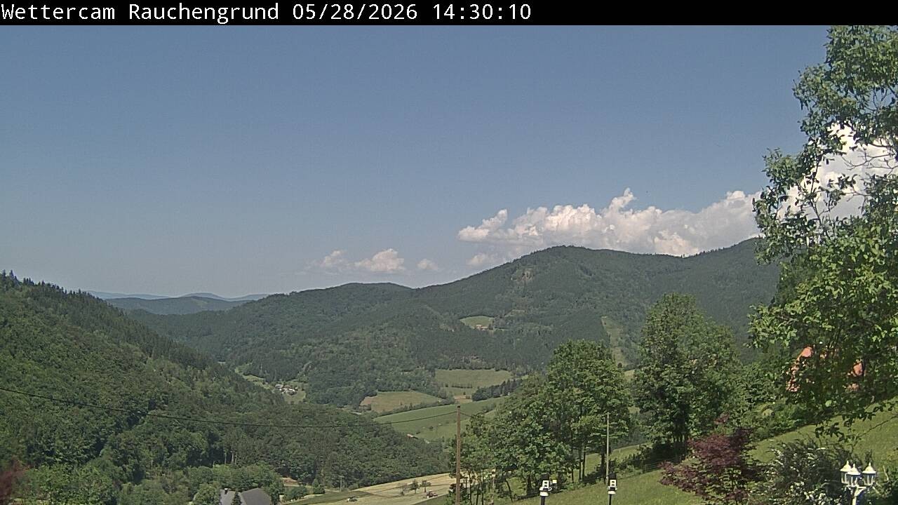 Archived image Webcam "Rauchengrund"
