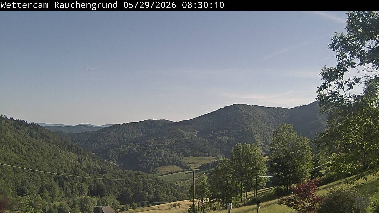 Archived image Webcam "Rauchengrund"