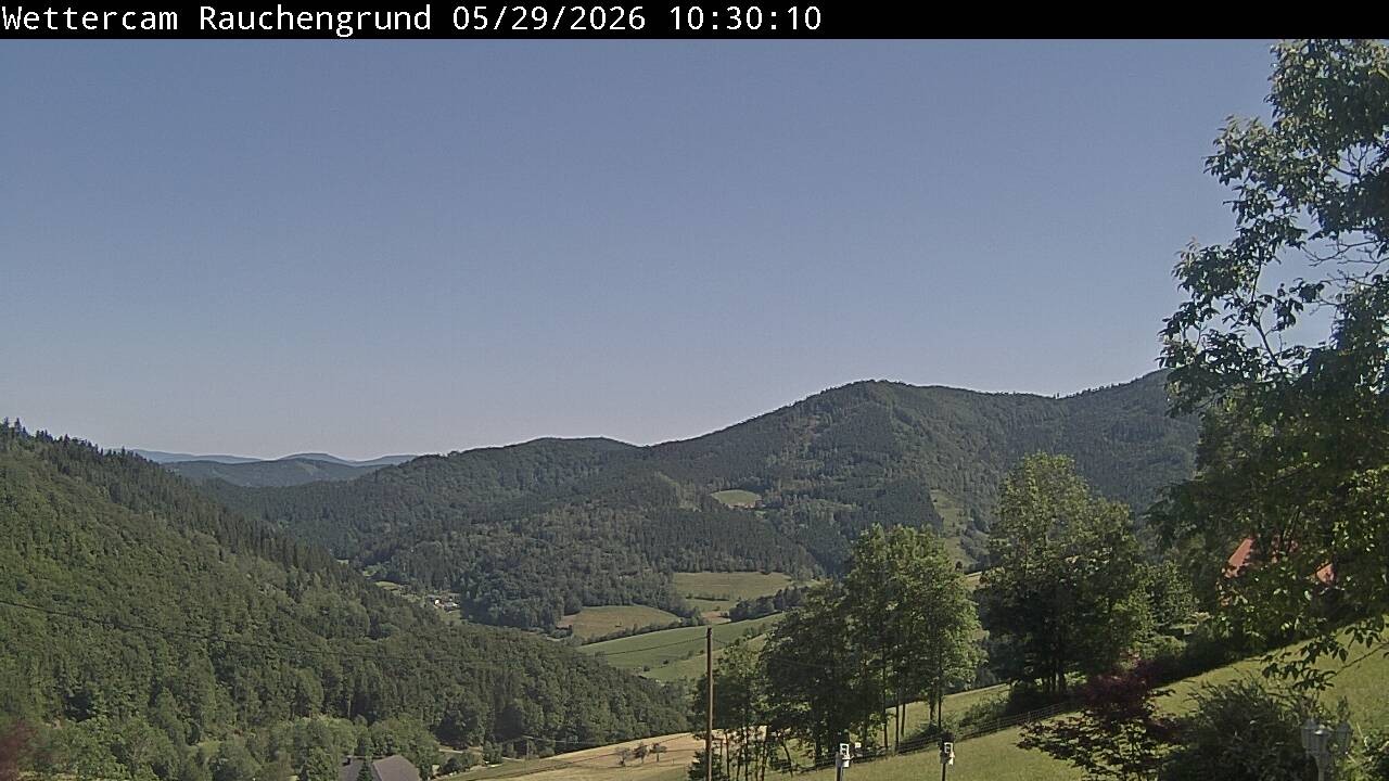 Archived image Webcam "Rauchengrund"