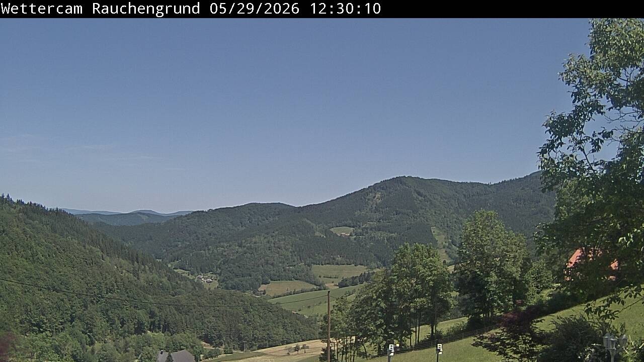 Archived image Webcam "Rauchengrund"