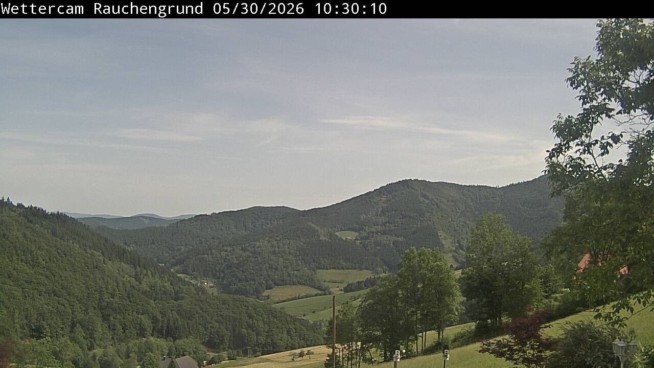 Archived image Webcam "Rauchengrund"