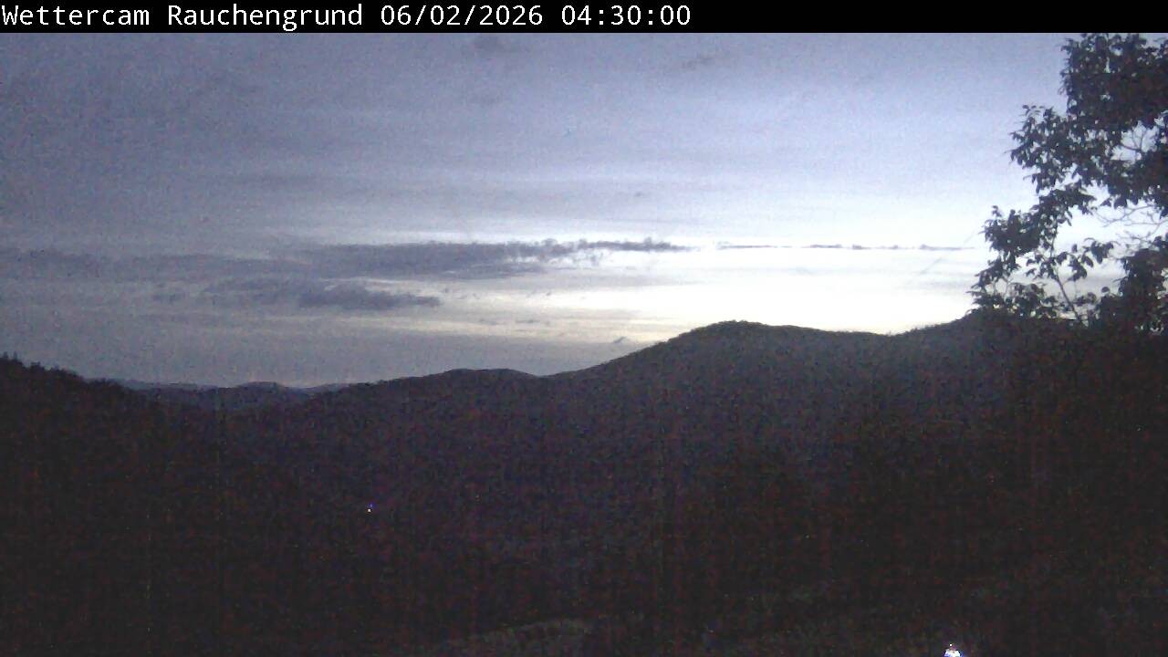Archiv Foto Webcam Elzach