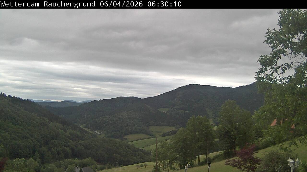Archiv Foto Webcam Elzach