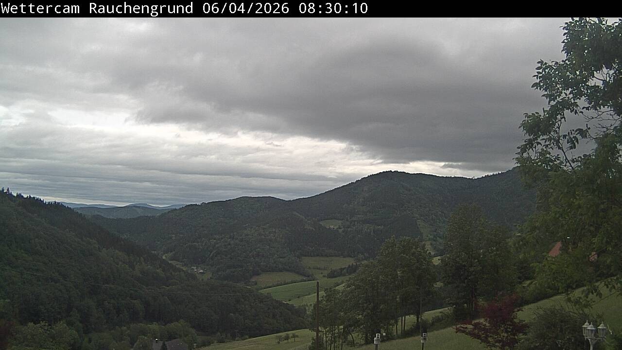 Archiv Foto Webcam Elzach