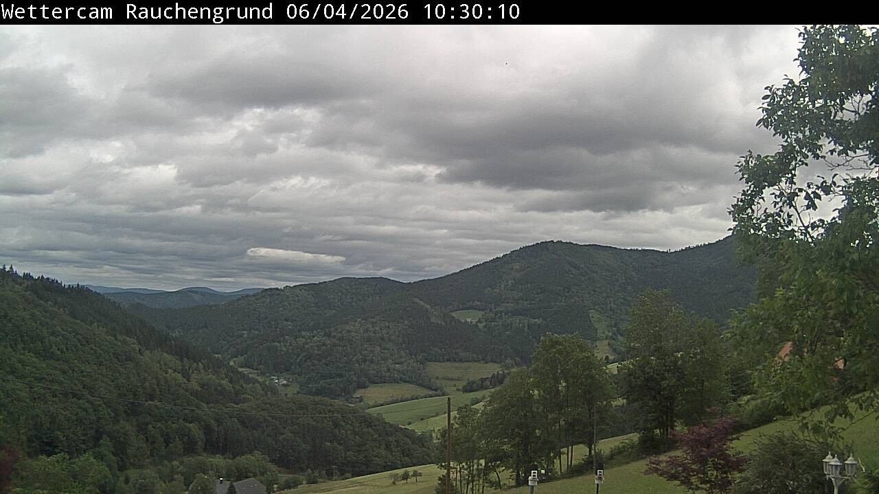 Archiv Foto Webcam Elzach