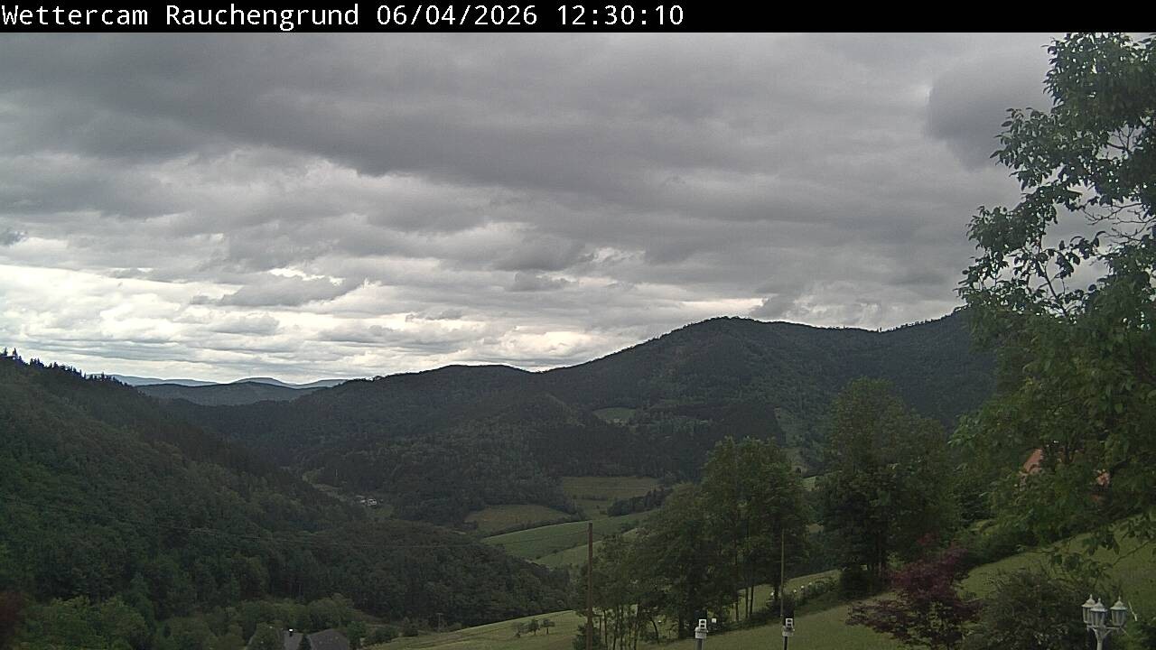 Archiv Foto Webcam Elzach