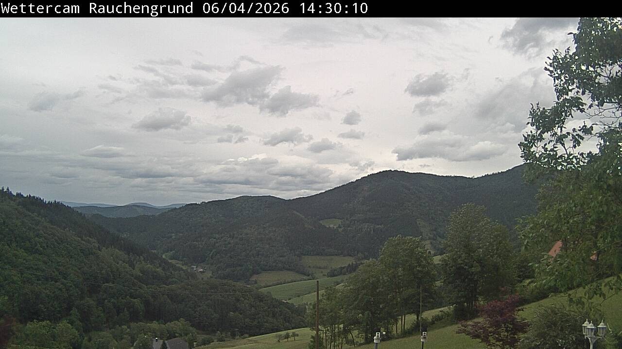 Archiv Foto Webcam Elzach