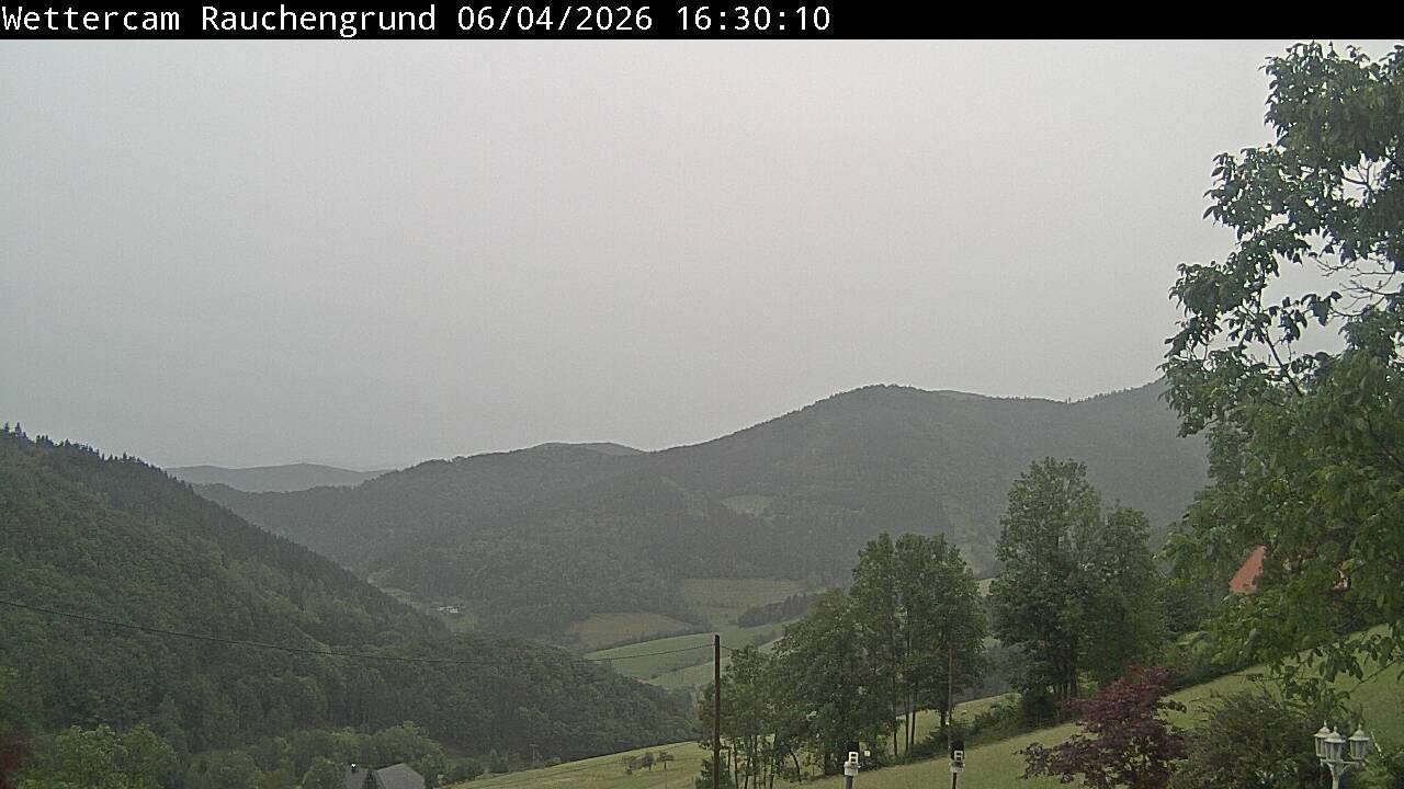 Archiv Foto Webcam Elzach
