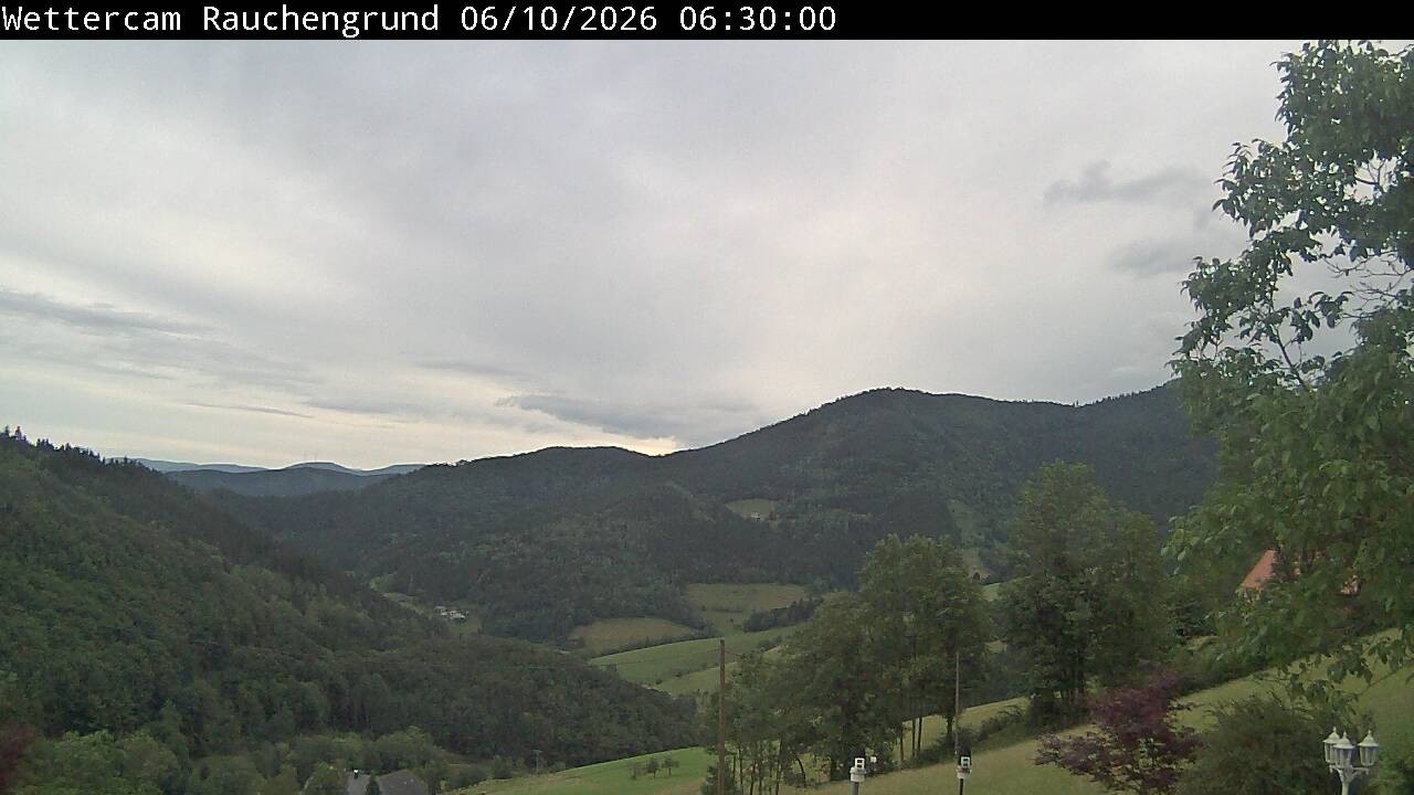 Archived image Webcam "Rauchengrund"